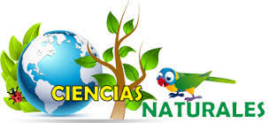 Ciencias Naturales Noveno (A)